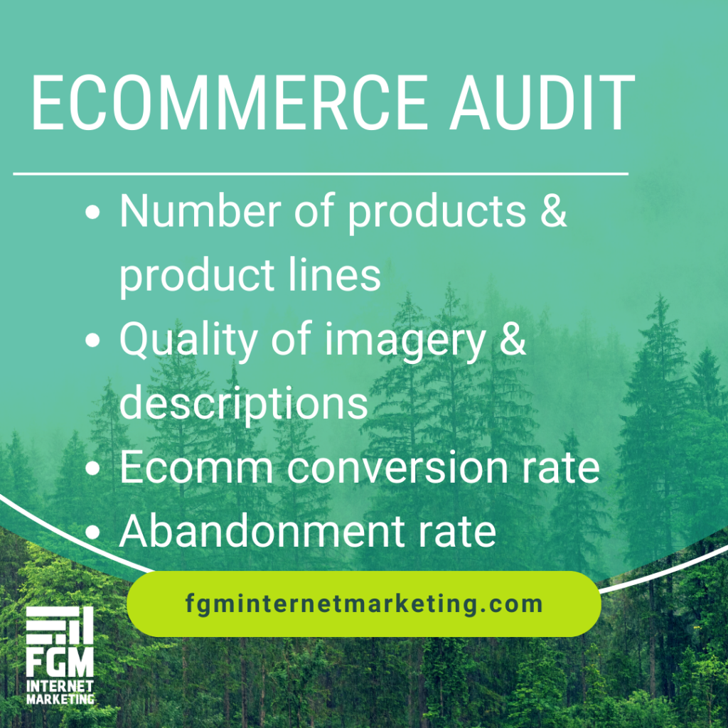 e-commerce audit