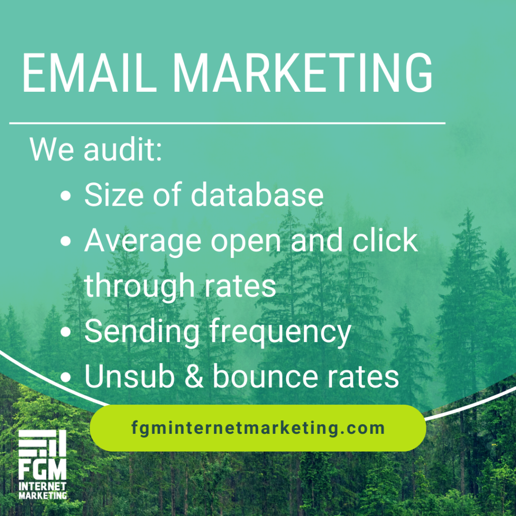 email marketing audit